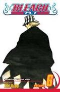 Bleach Volume 6