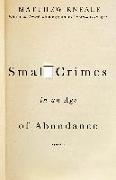 Small Crimes in an Age of Abundance