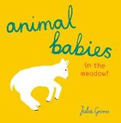 Animal Babies in the Meadow!