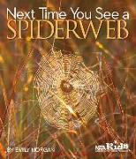 Next Time You See a Spiderweb