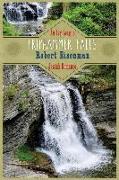 Triphammer Falls: An Ivy League Jewish Romance