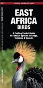 East Africa Birds