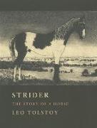 Strider: The Story of a Horse