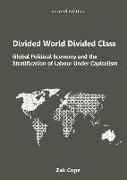 Divided World, Divided Class: Global Political Economy and the Stratification of Labour Under Capitalism