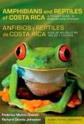 Amphibians and Reptiles of Costa Rica/Anfibios y Reptiles De Costa Rica