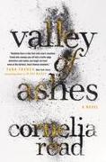 Valley Of Ashes