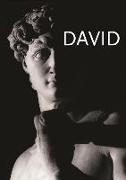 David: Michelangelo