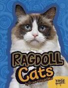 Ragdoll Cats