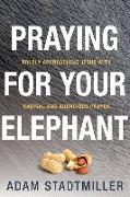 Praying for Your Elephant: Boldly Approaching Jesus with Radical and Audacious Prayer