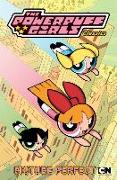 Powerpuff Girls Classics Volume 4: Picture Perfect