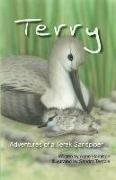 Terry: Adventures of a Terek Sandpiper