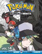 Pokemon Black and White, Vol. 14