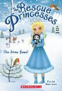 The Snow Jewel (Rescue Princesses #5): Volume 5