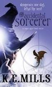 The Accidental Sorcerer