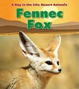 Fennec Fox