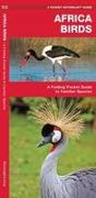 Africa Birds: A Folding Pocket Guide to Familiar Species