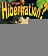 What is Hibernation?