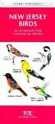 Caribbean Birds: An Introduction to Familiar Species