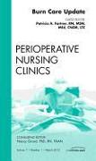 Burn Care Update, an Issue of Perioperative Nursing Clinics: Volume 7-1