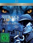Sherlock Holmes - Im Zeichen der Vier & Der Hund von Baskerville