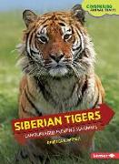 Siberian Tigers