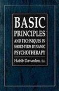 Basic Principles & Techniques in Short-Term Dynamic Psychotherapy (The Master Work Series)