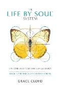 The Life By Soul¿ System