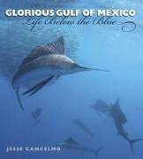 Glorious Gulf of Mexico: Life Below the Blue Volume 28