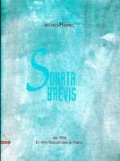 Sonata Brevis