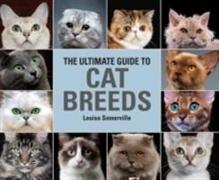 The Ultimate Guide To Cat Breeds