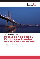 Protección de Pilas y Estribos de Puentes con Paneles de Fondo