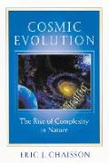 Cosmic Evolution