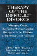 Therapy of the Difficult Divorce: Managing Crises, Reorienting Warring Couples, Working with the Children and Expediting Court Processes