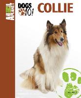 Collie