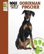 Doberman Pinscher