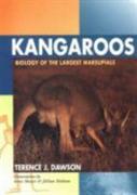 Kangaroos