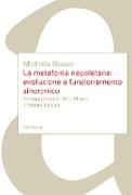 La metafonia napoletana: evoluzione e funzionamento sincronico
