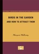 Birds in the Garden and How to Attract Them