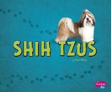 Shih Tzus