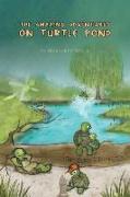 The Amazing Adventures on Turtle Pond