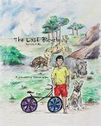 The Lost Bicycle