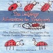 The Ladybug's Journey to Westport