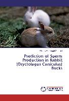 Prediction of Sperm Production in Rabbit (Oryctolagus Cuniculus) Bucks