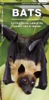 Bats: A Folding Pocket Guide to Familiar & Unusual Species Worldwide