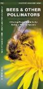 Bees & Other Pollinators: A Folding Pocket Guide to Familiar Species
