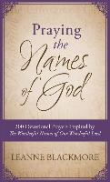 Praying the Names of God: 200 Devotional Prayers Inspired by the Wonderful Names of Our Wonderful Lord