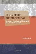 Shortcut or Piecemeal: Economic Development Strategies and Structural Change