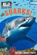 Sharks! (Animal Planet Chapter Books #1)