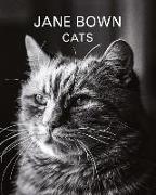 Jane Bown: Cats