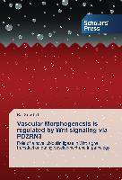 Vascular Morphogenesis is regulated by Wnt signaling via PDZRN3